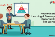 How to Maximize Learning and Development Opportunities in the Workplace